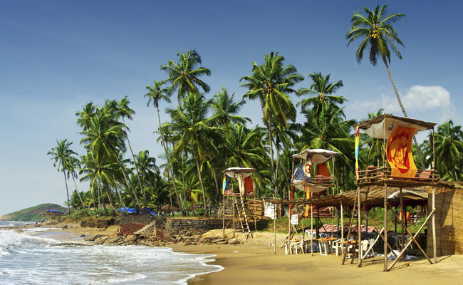 Wendell Rodricks On Goa's Coconut Tree Controversy