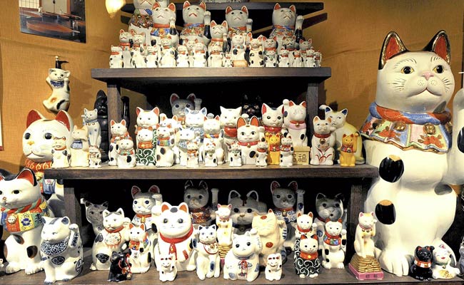 Lucky Cats Invite Blessings in Japan