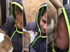 Watch This Child's Emotional Reunion with His Lost Dog. It's OK to Cry