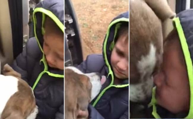 Watch This Child's Emotional Reunion with His Lost Dog. It's OK to Cry