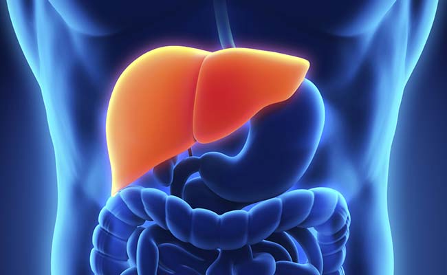 Liver Recovers Faster On Low-Sugar Diets