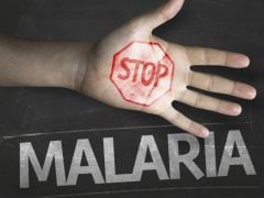 New Malaria Vaccine Generates Robust Immune Response