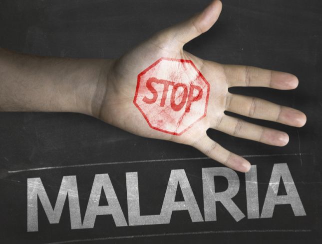 Effective Malaria Treatment A Step Closer: Research