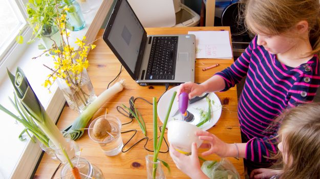Micro-Garden Lists You Need For Kids' Fun In The Kitchen