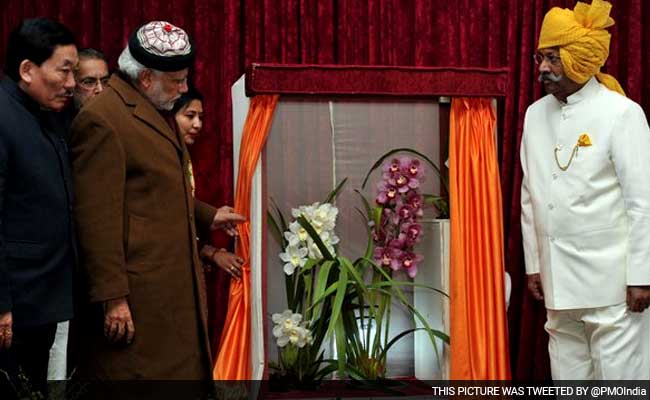 NaMo - A Delicate, Beautiful Orchid From Sikkim