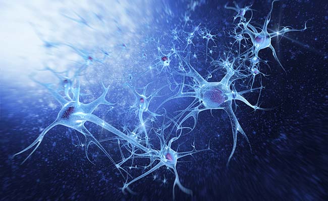 What Kills Neurons After Stroke?