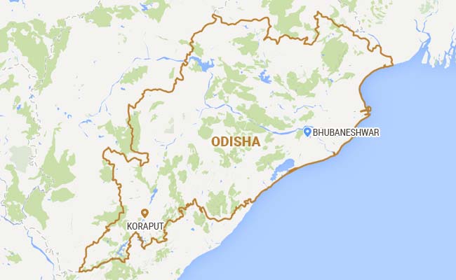 30 Killed After Bus Fell Into A Gorge In Odisha