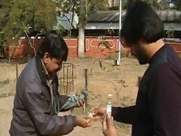 Operation Bird Sky: This Man Helps Injured Birds During Kite Flying Season Operation Bird Sky: This Man Helps Injured Birds During Kite Flying Season