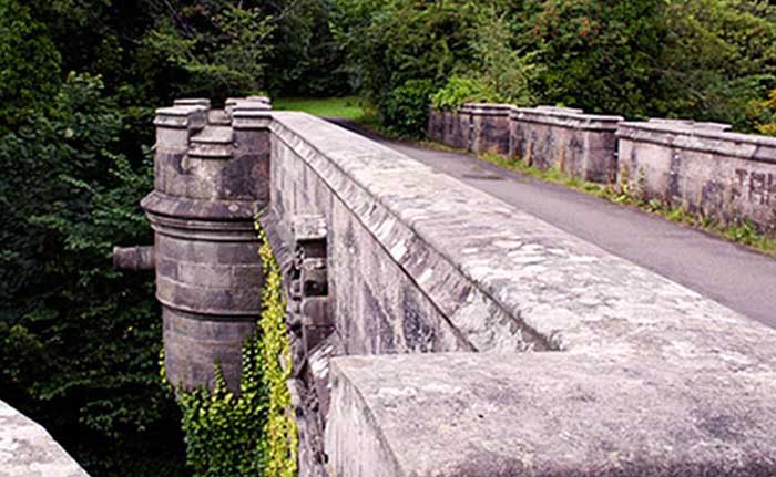 Why Dogs Kill Themselves at Scotland's Overtoun Bridge?