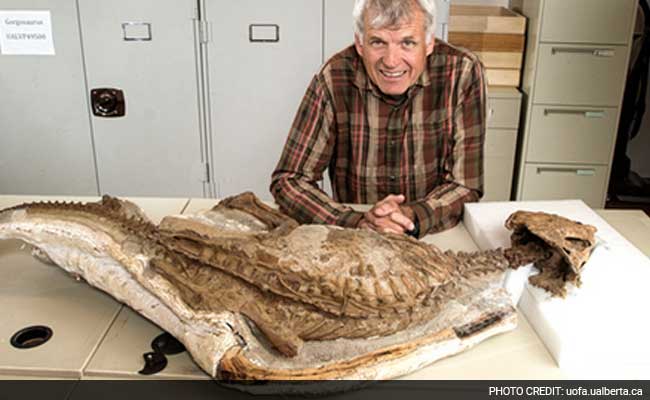 Rare Dinosaur Fossil Fills In Missing Pieces Of Evolution