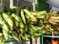 Turn Plantains Into Patacones for an Easy Latin Treat Turn Plantains Into Patacones for an Easy Latin Treat