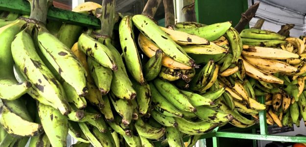 Turn Plantains Into Patacones for an Easy Latin Treat