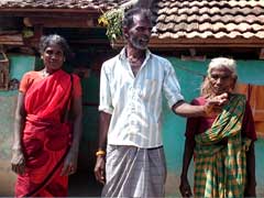 Dull Pongal Celebrations In Tamil Nadu Amid Hold On Jallikattu