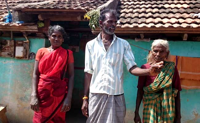 Dull Pongal Celebrations In Tamil Nadu Amid Hold On Jallikattu