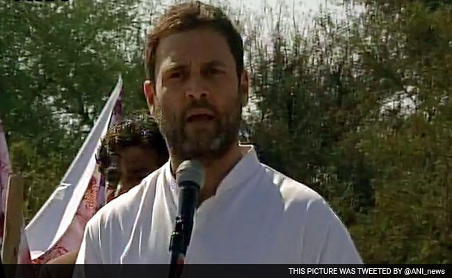 बुंदेलखंड में राहुल गांधी ने पीएम मोदी पर 'किसानों की अनदेखी' का आरोप लगाया