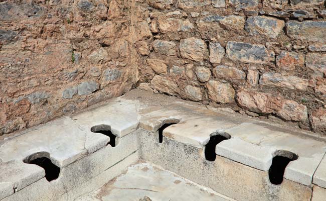 How Roman Toilets (And Fish Sauce) May Have Helped Spread Parasites Across Europe