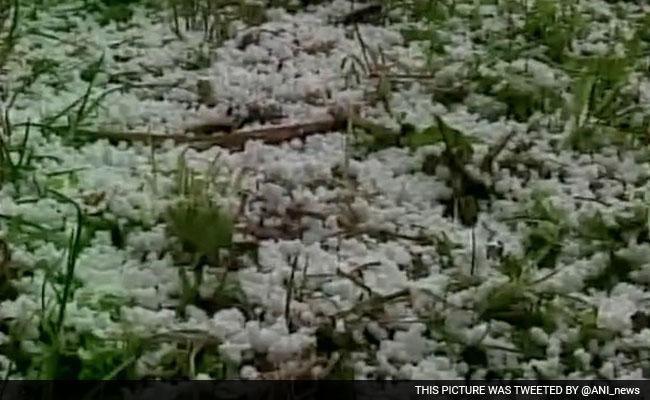 Shimla Shivers After Snowfall