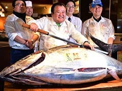 Japanese Sushi Chain Pays $117,000 For A Tuna. Yes, One Tuna.