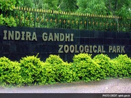 World's First Zoo Backed By World Bank In This Indian City World's First Zoo Backed By World Bank In This Indian City