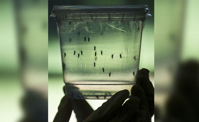 Water Crisis Increases Zika Threat In Venezuela