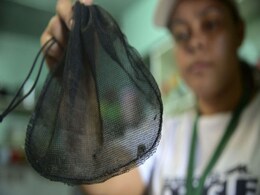 Zika Virus Found In Danish Tourist Returning From South America: Hospital Zika Virus Found In Danish Tourist Returning From South America: Hospital