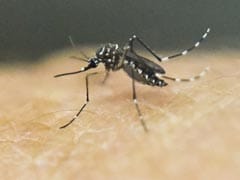 Honduras Reports First Death From Zika-Linked Syndrome