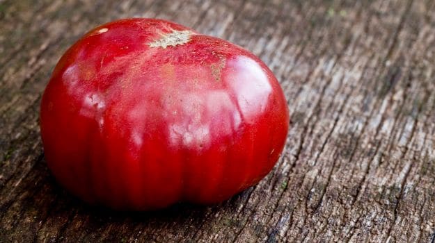 Secret To Delicious Tomatoes: Winter Prep