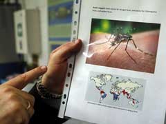 Back To Its Roots: How Zika May Threaten Africa