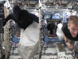 There's an Ape in Space and Astronauts in Orbit Are Going Bananas There's an Ape in Space and Astronauts in Orbit Are Going Bananas