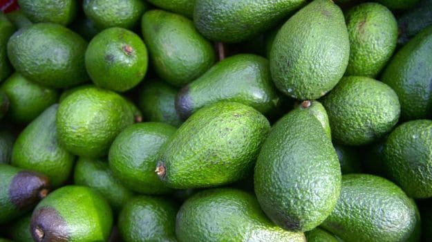 In Mexico, High Avocado Prices Fueling Deforestation