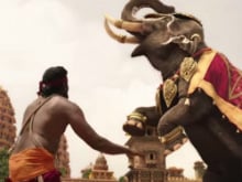 <I>Baahubali 2</i> Faces Trouble For Allegedly Shooting With Elephant Illegally