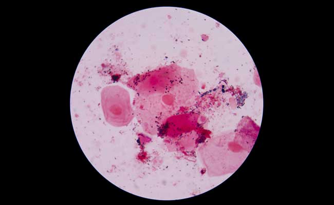 Latest and Breaking News on NDTV Latest and Breaking News on NDTV