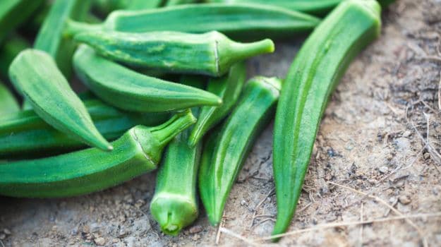 Four Reasons Why You Should Add Bhindi (Okra) To Your Weight Loss Diet