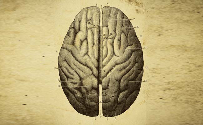 Computer Use May Reduce Memory Decline Risk In Elderly: Study