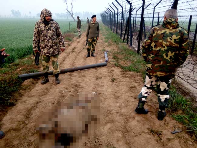 4 Smugglers Shot Dead Near Indo-Pak Border, 10 Kg Of Heroin Recovered
