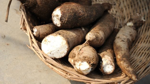 recipes flour cassava Nigerias Even Demonstrates Staple Food Economic