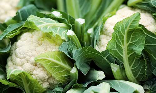 cauliflower