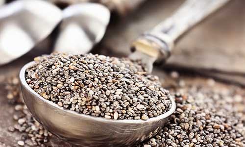 Chia Seeds In Diet: चिया सीड्स को डाइट में शामिल कर मोटापा, पाचन समेत पा सकते हैं ये 5 फायदे