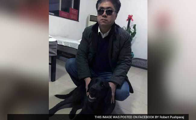 Abducted Chinese Guide Dog Returned With Apology Note