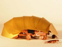 Cockroach-Inspired Robots Can Squeeze Through Cracks