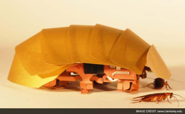 Cockroach-Inspired Robots Can Squeeze Through Cracks