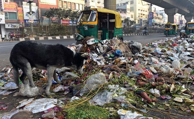 Delhi's Ranking Drops In Government's Cleanliness Report Card