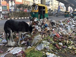 पूर्वी दिल्ली एमसीडी हड़ताल : सफाई कर्मचारियों ने मेयर आवास के सामने किया प्रदर्शन, फूंका पुतला पूर्वी दिल्ली एमसीडी हड़ताल : सफाई कर्मचारियों ने मेयर आवास के सामने किया प्रदर्शन, फूंका पुतला
