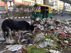East Delhi Sanitation Workers On Indefinite Strike Just Before Diwali
