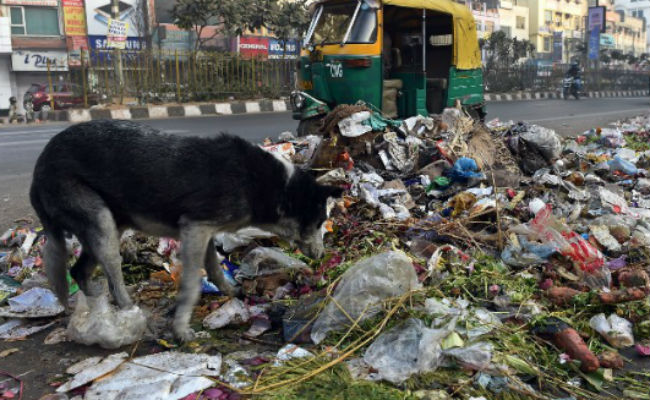 Delhi Government Asks Lieutenant Governor to Resolve Garbage Crisis