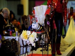 80s-Inspired Fashion Show Draws Four-Legged Models 80s-Inspired Fashion Show Draws Four-Legged Models