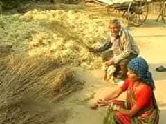 A Deadly Drought Leaves Chhattisgarh's Farmers In Dire Straits