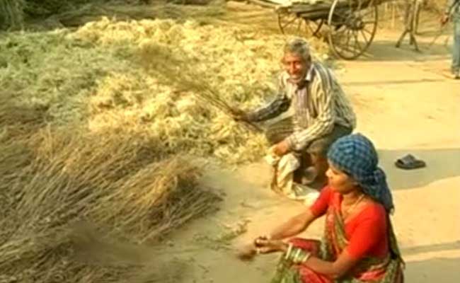 A Deadly Drought Leaves Chhattisgarh's Farmers In Dire Straits