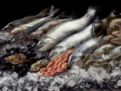 There are Plenty of Fish in the Sea, So Start Eating Them There are Plenty of Fish in the Sea, So Start Eating Them