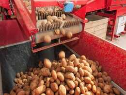 Govt Proposes 100 Per Cent FDI in Food Processing Govt Proposes 100 Per Cent FDI in Food Processing